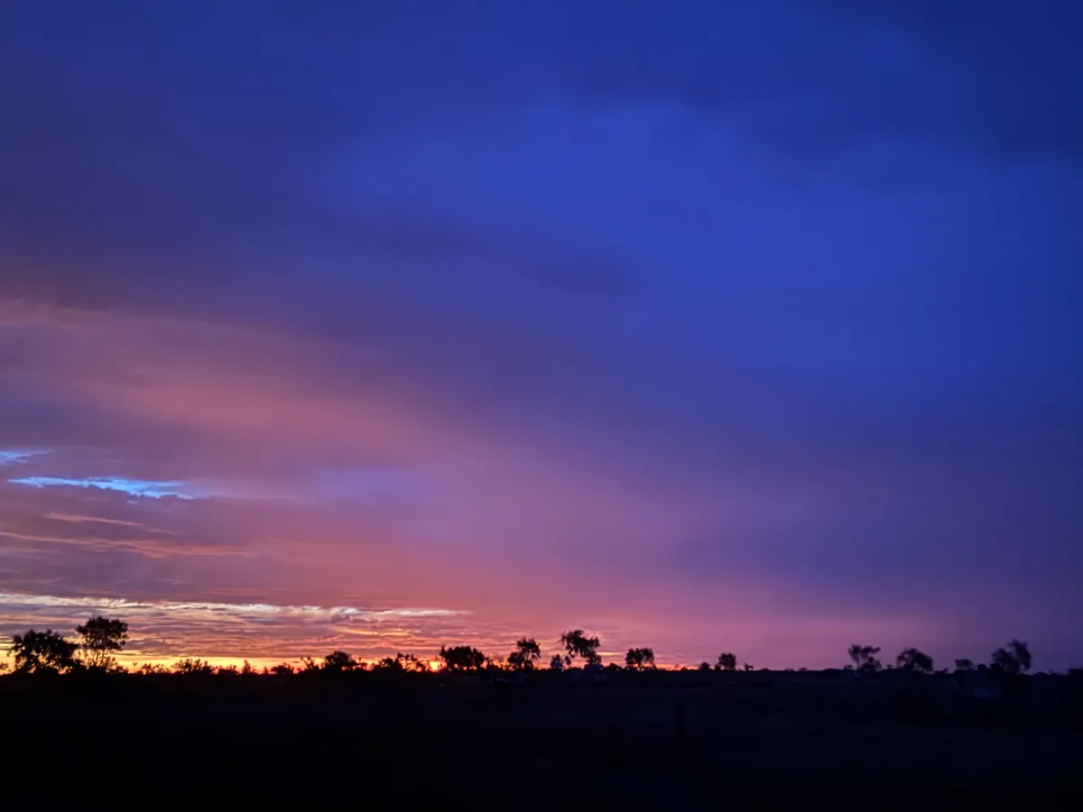 Pink and violet dusk light over a dark, tree-lined horizon